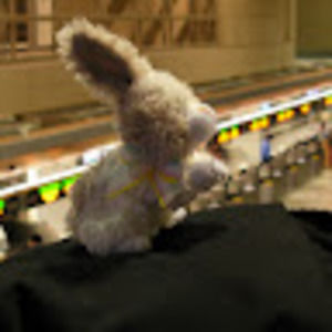 Meet your Posher, John